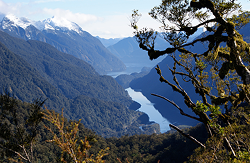 Drone hovering over the ground
