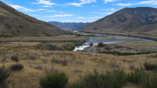Molesworth roar hunting